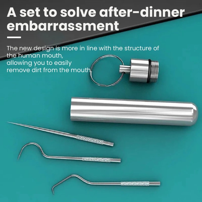 ステンレス鋼つまようじポータブル歯摘みツール口腔ケア歯科針フ - Lock Picking Set のレビューと価格